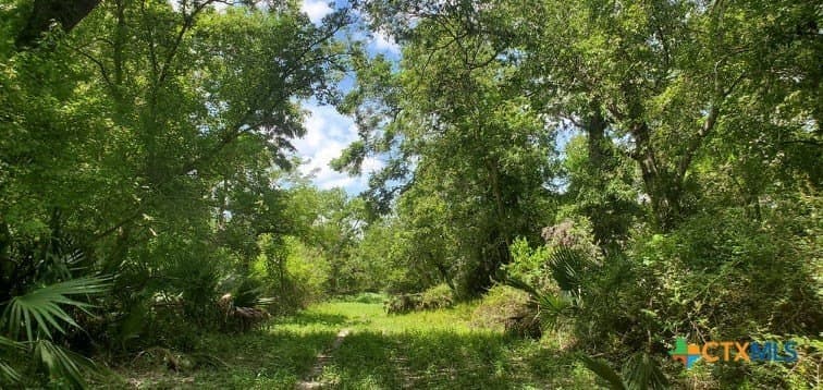 343.24 acres in Victoria County - photo 2