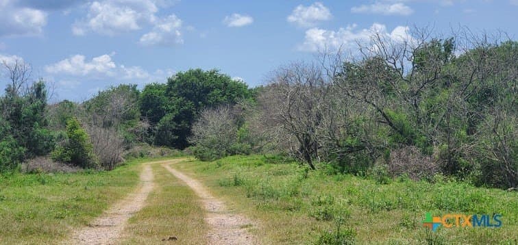 343.24 acres in Victoria County - photo 5