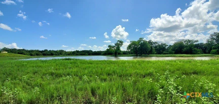 343.24 acres in Victoria County - photo 29