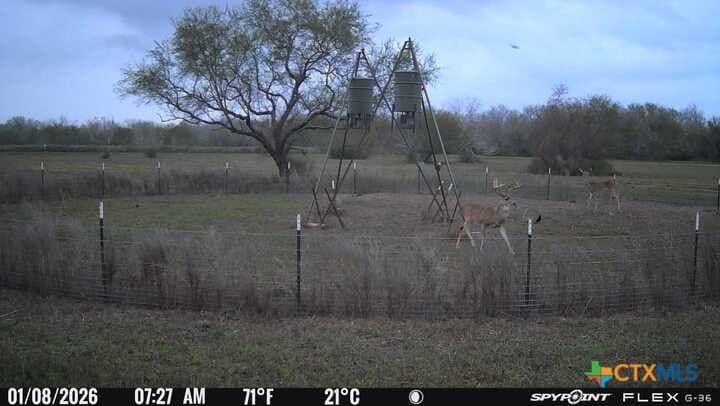 343.24 acres in Victoria County - photo 6