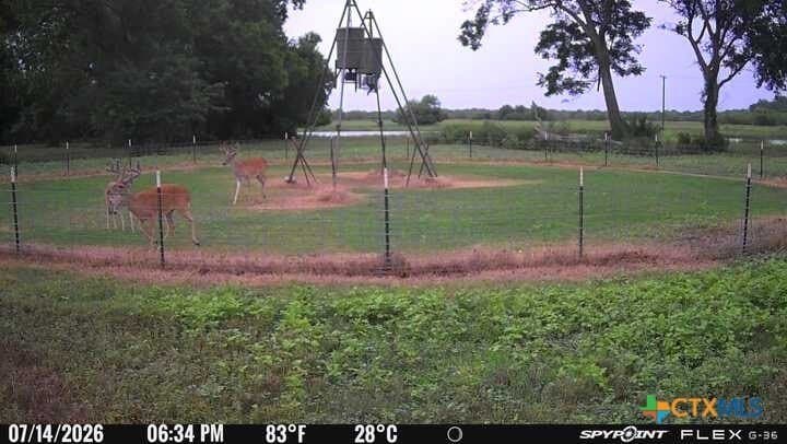343.24 acres in Victoria County - photo 3