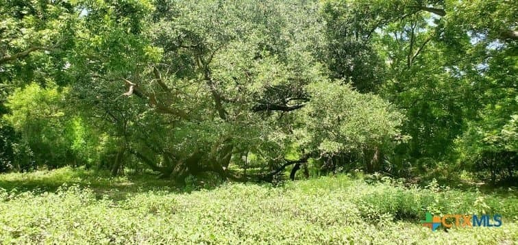 343.24 acres in Victoria County - photo 24
