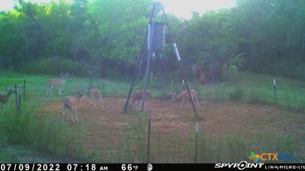 343.24 acres in Victoria County - photo 11