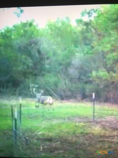 343.24 acres in Victoria County - photo 40