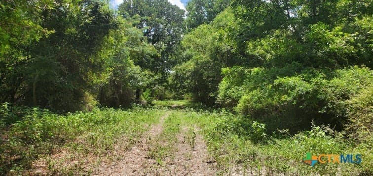 343.24 acres in Victoria County - photo 26