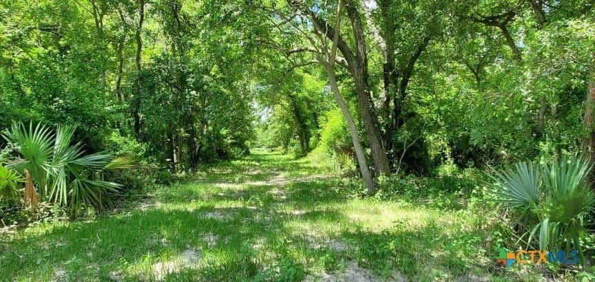343.24 acres in Victoria County - photo 22