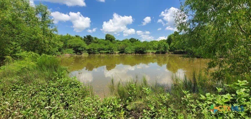 343.24 acres in Victoria County - photo 28