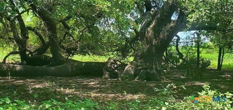 343.24 acres in Victoria County - photo 32