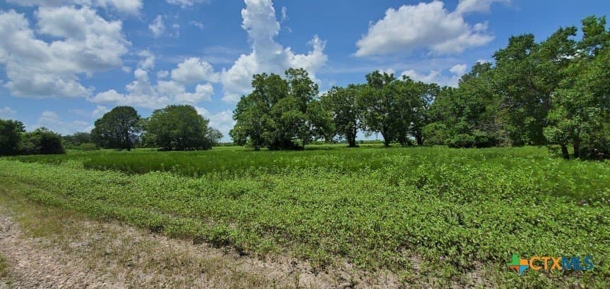 343.24 acres in Victoria County - photo 23
