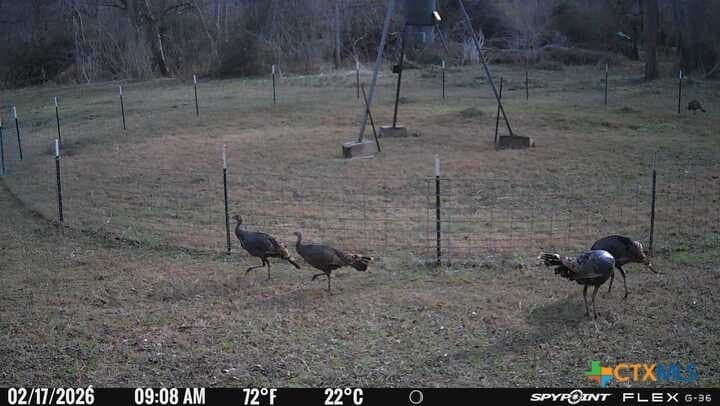 343.24 acres in Victoria County - photo 4