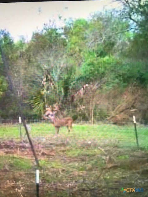 343.24 acres in Victoria County - photo 44