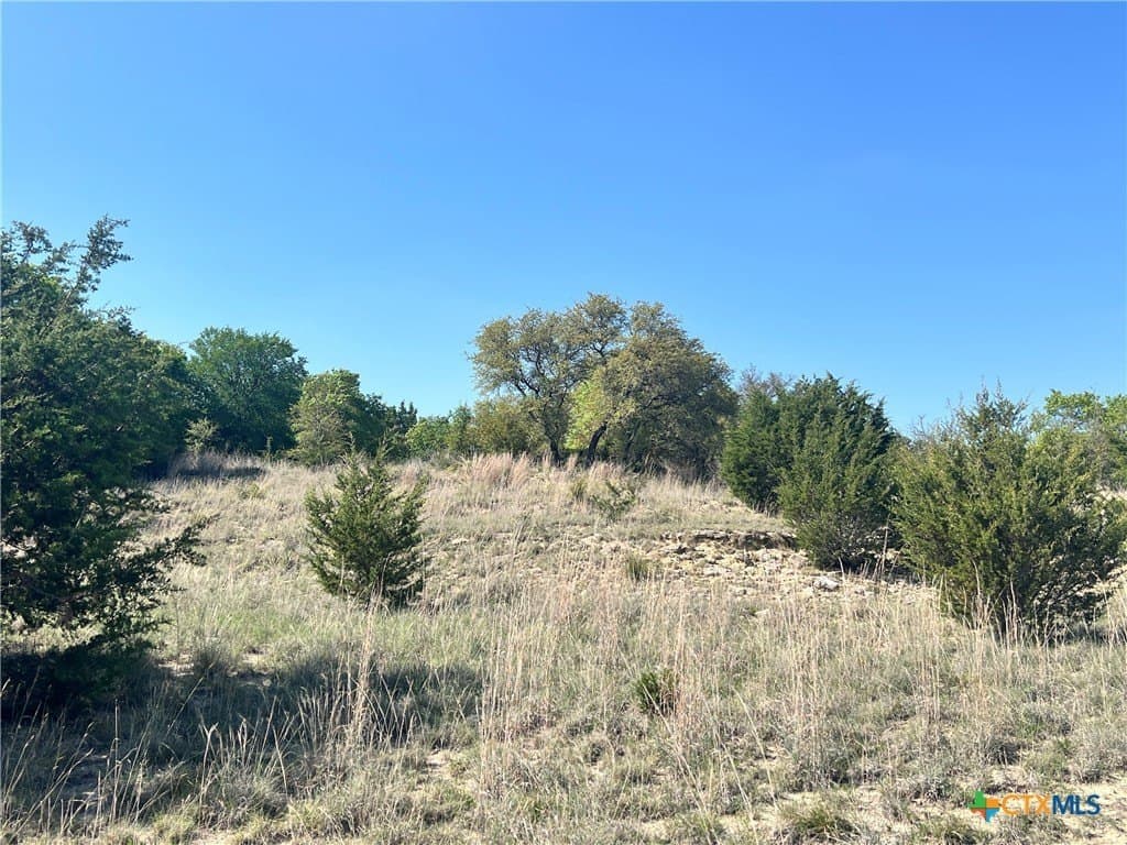 10.01 acres in Lampasas County - photo 7