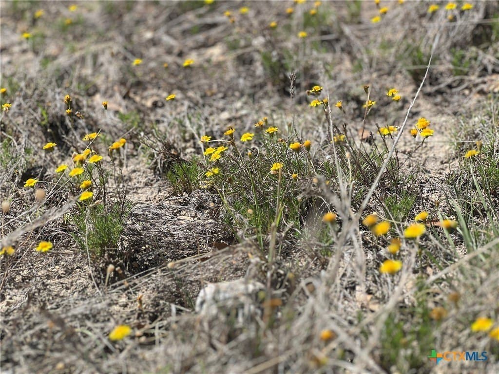 10.01 acres in Lampasas County - photo 18