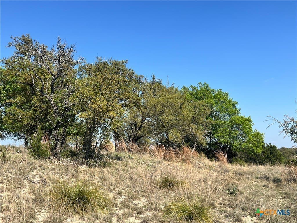 10.01 acres in Lampasas County featured view