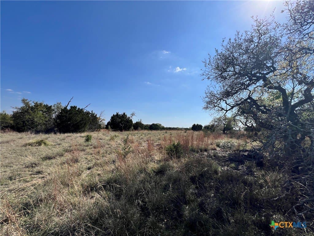 10.01 acres in Lampasas County - photo 10