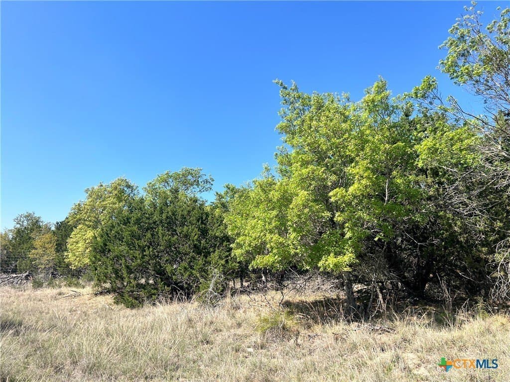 10.01 acres in Lampasas County - photo 6