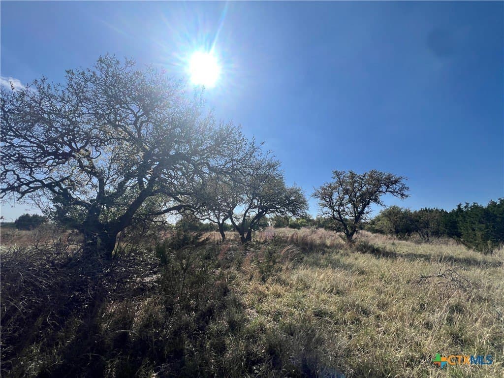 10.01 acres in Lampasas County - photo 9