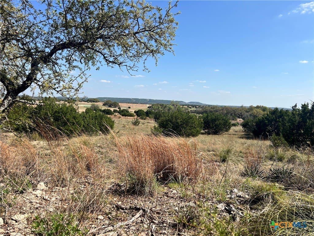 10.01 acres in Lampasas County gallery image 3