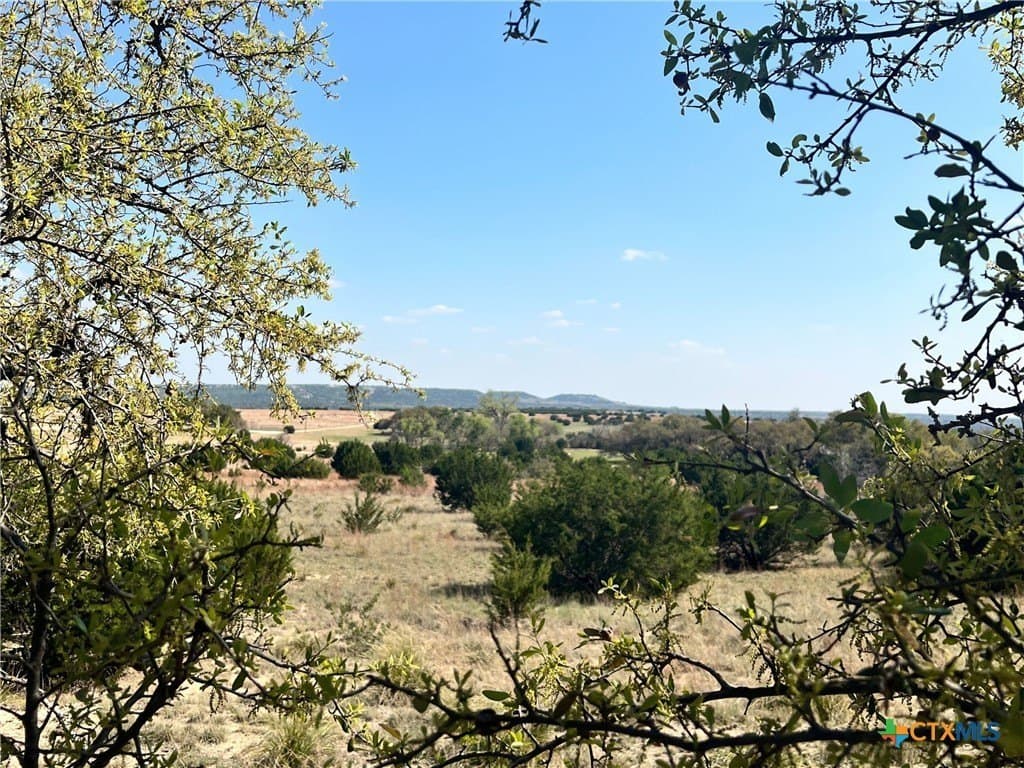 10.01 acres in Lampasas County gallery image 4