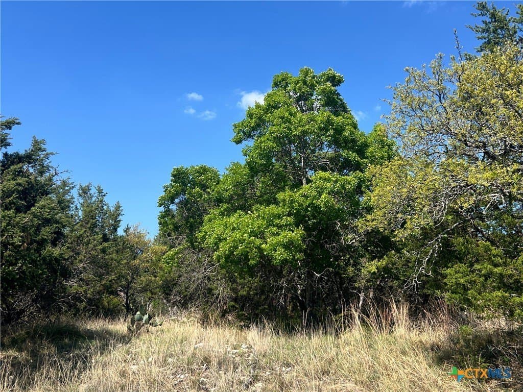 10.01 acres in Lampasas County - photo 16