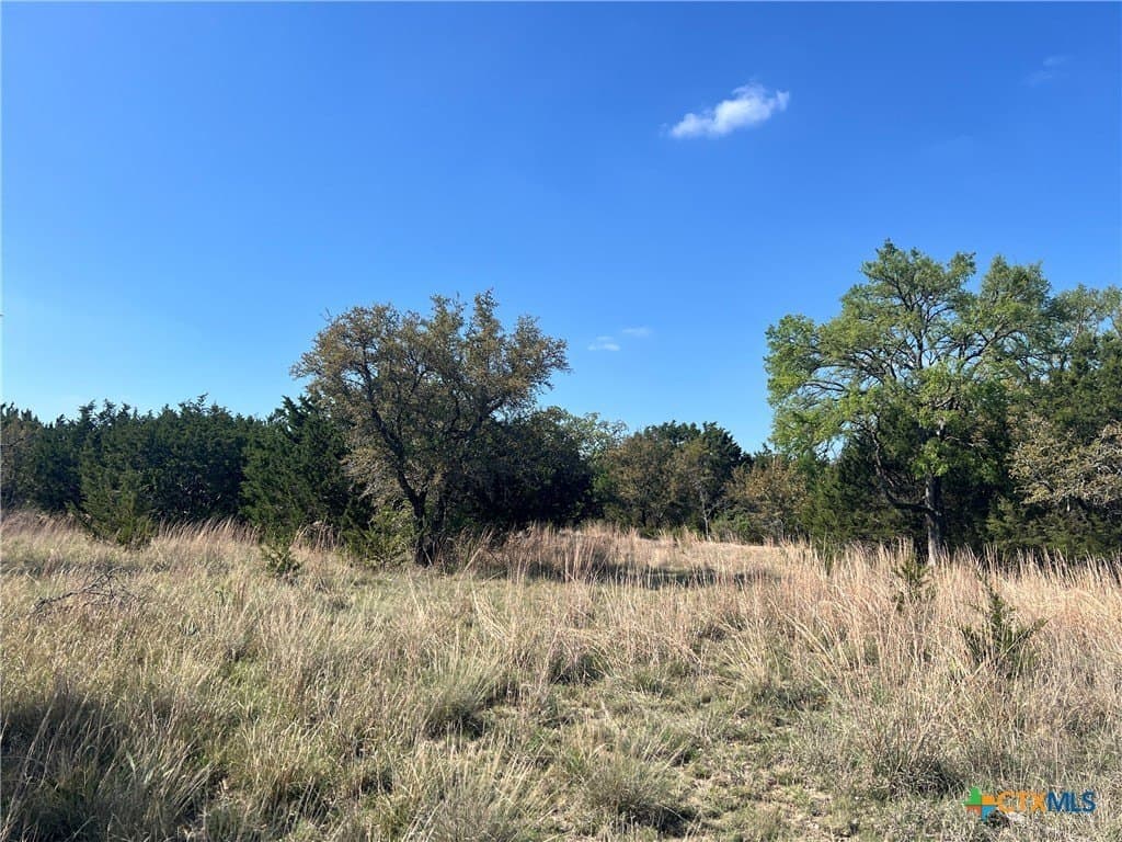 10.01 acres in Lampasas County - photo 8