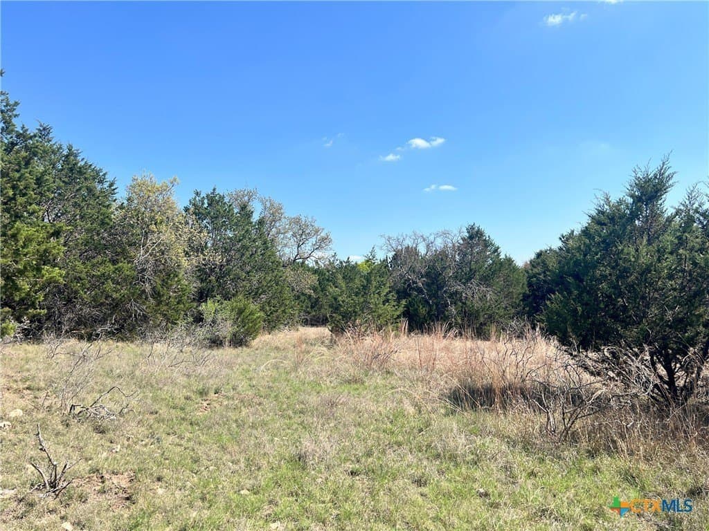 10.01 acres in Lampasas County - photo 14