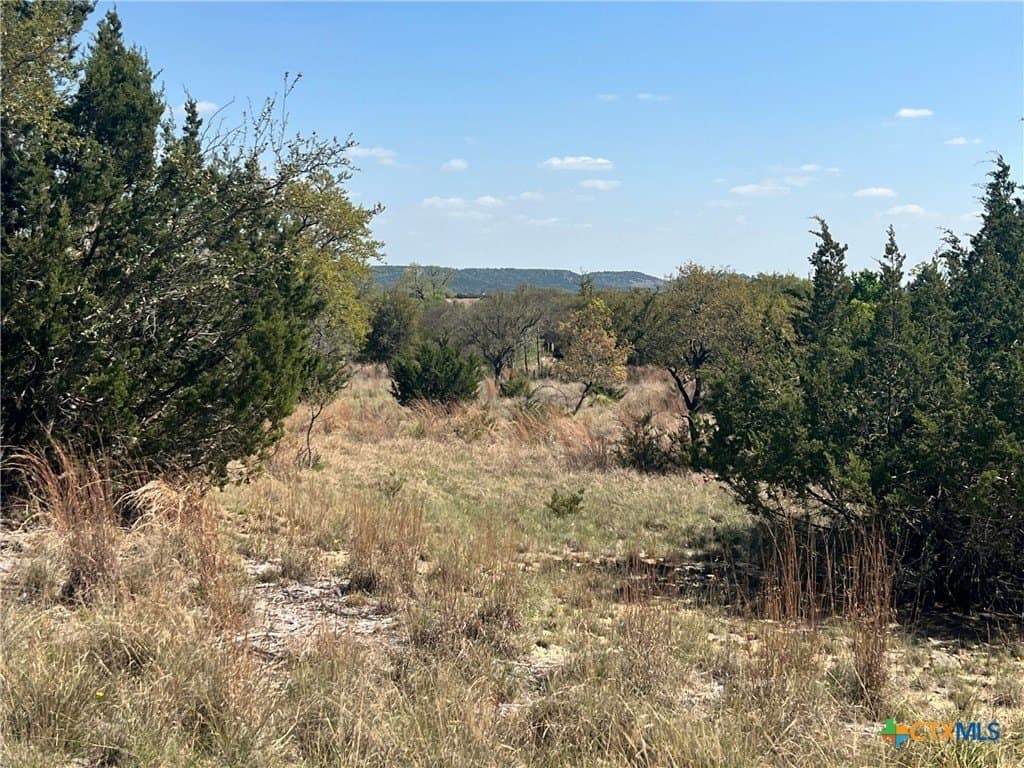 10.01 acres in Lampasas County - photo 13