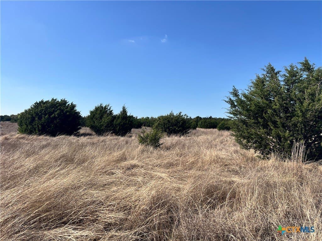 10.01 acres in Lampasas County - photo 11