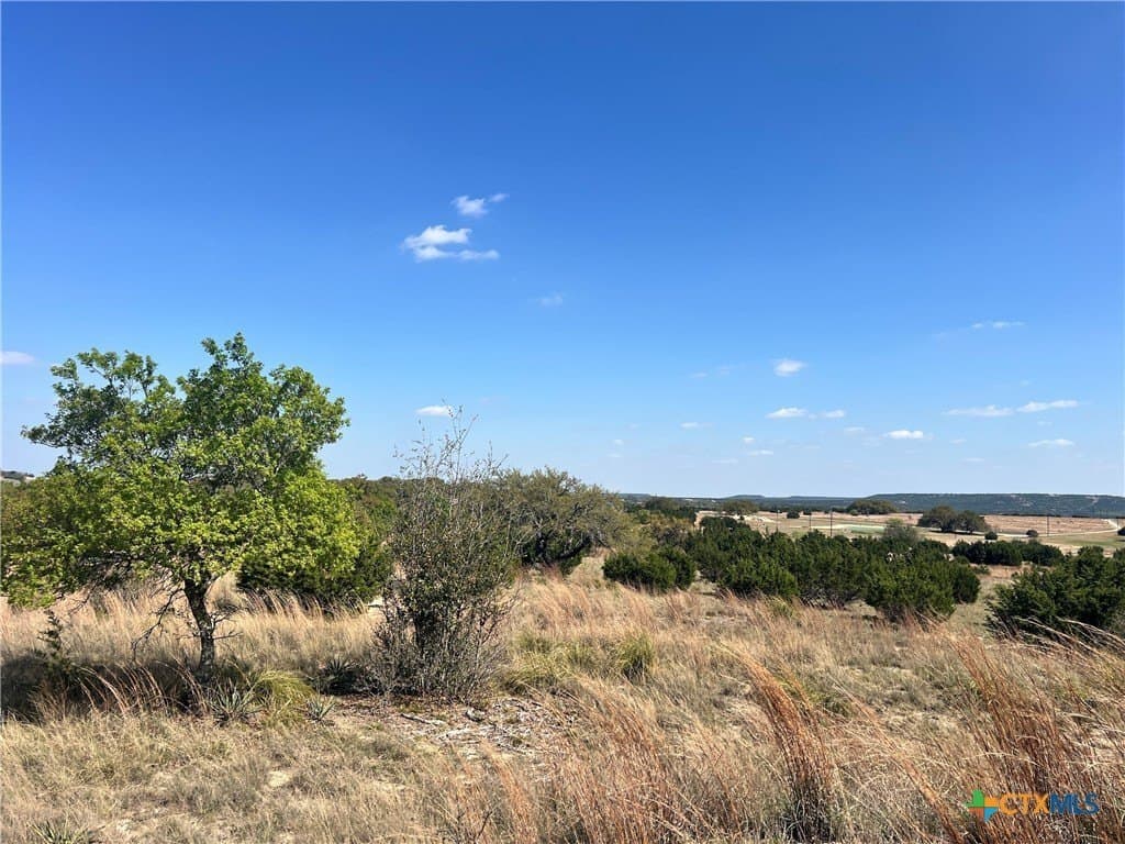 10.01 acres in Lampasas County gallery image 2