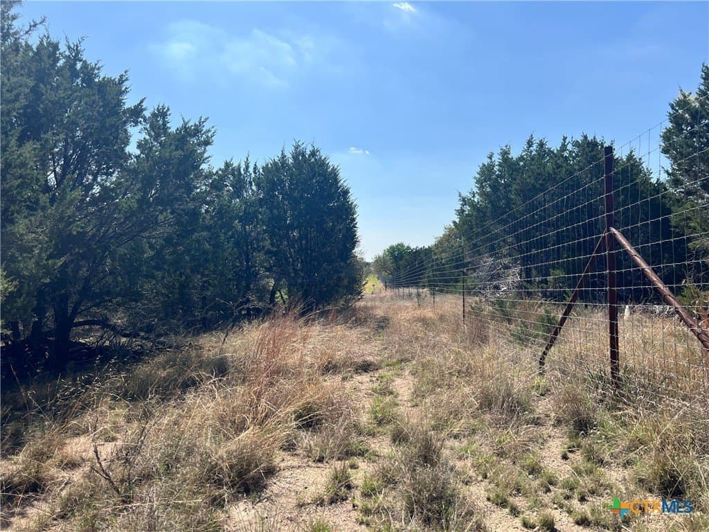 10.01 acres in Lampasas County - photo 15