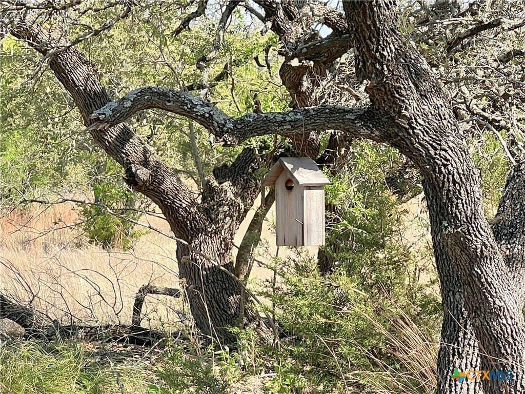 10.01 acres in Lampasas County - photo 17