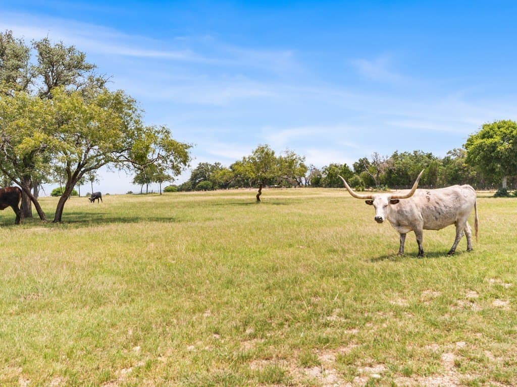 3.01 acres in Gillespie County featured view