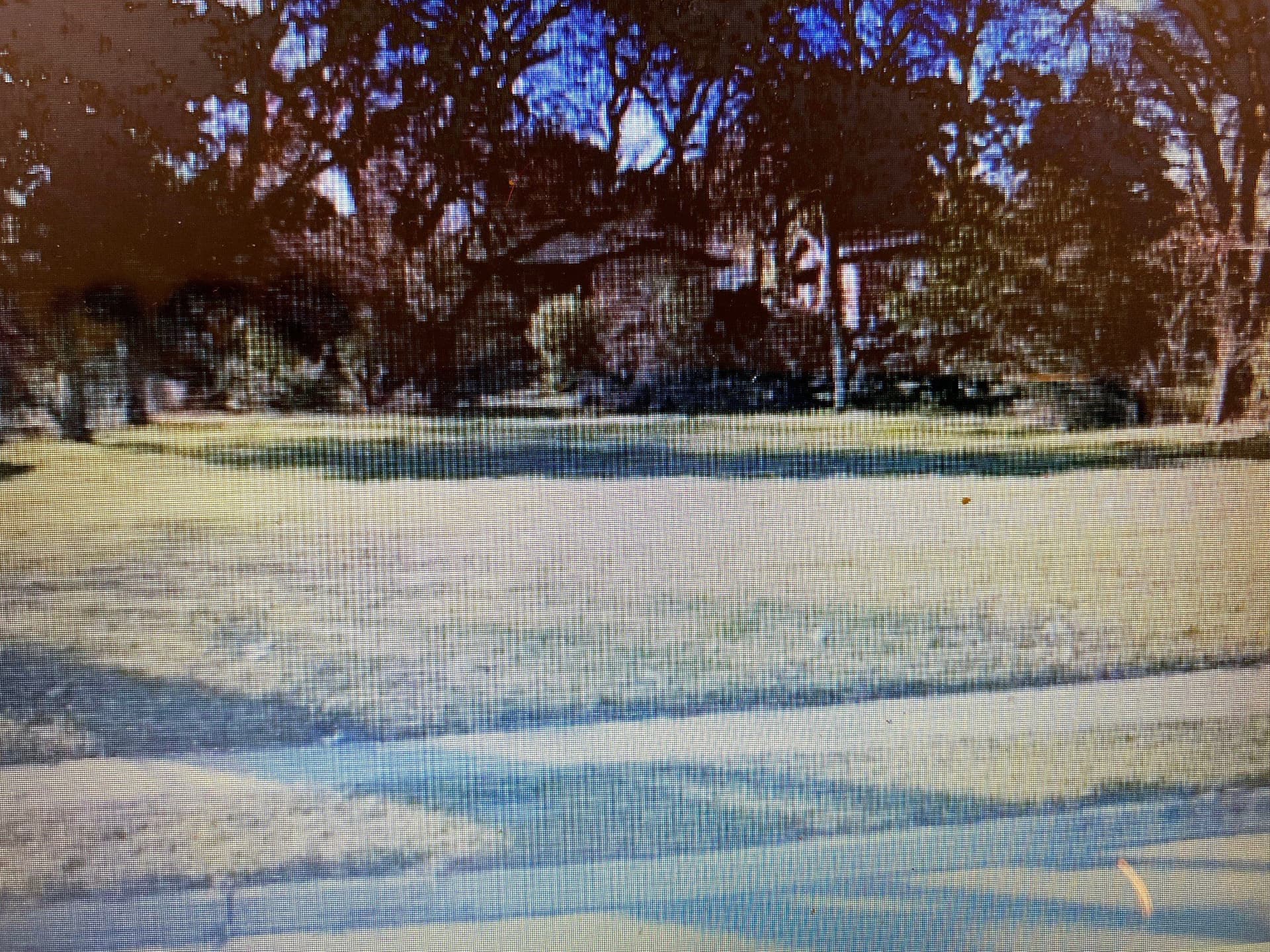 0.27 acres in Dallas County - photo 3