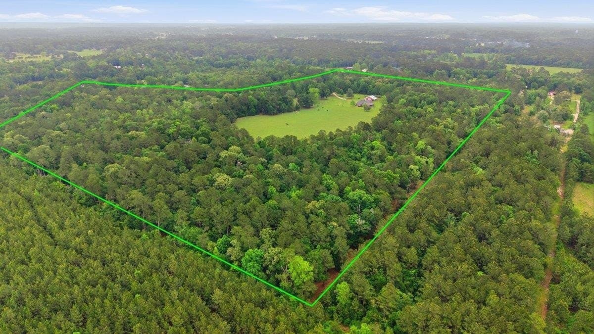 67 acres in Texas County gallery image 4