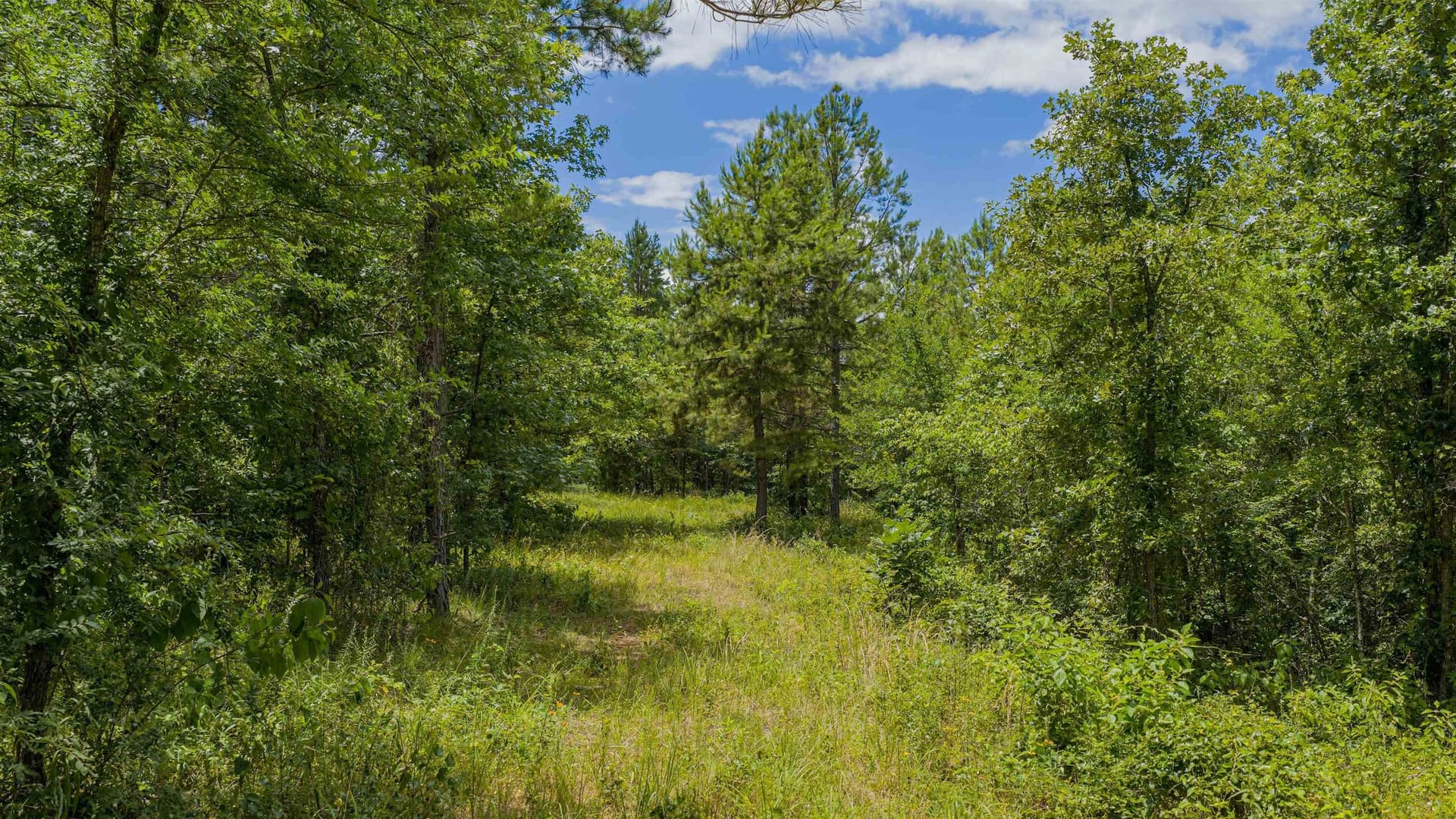 2.02 acres in Texas County - photo 8