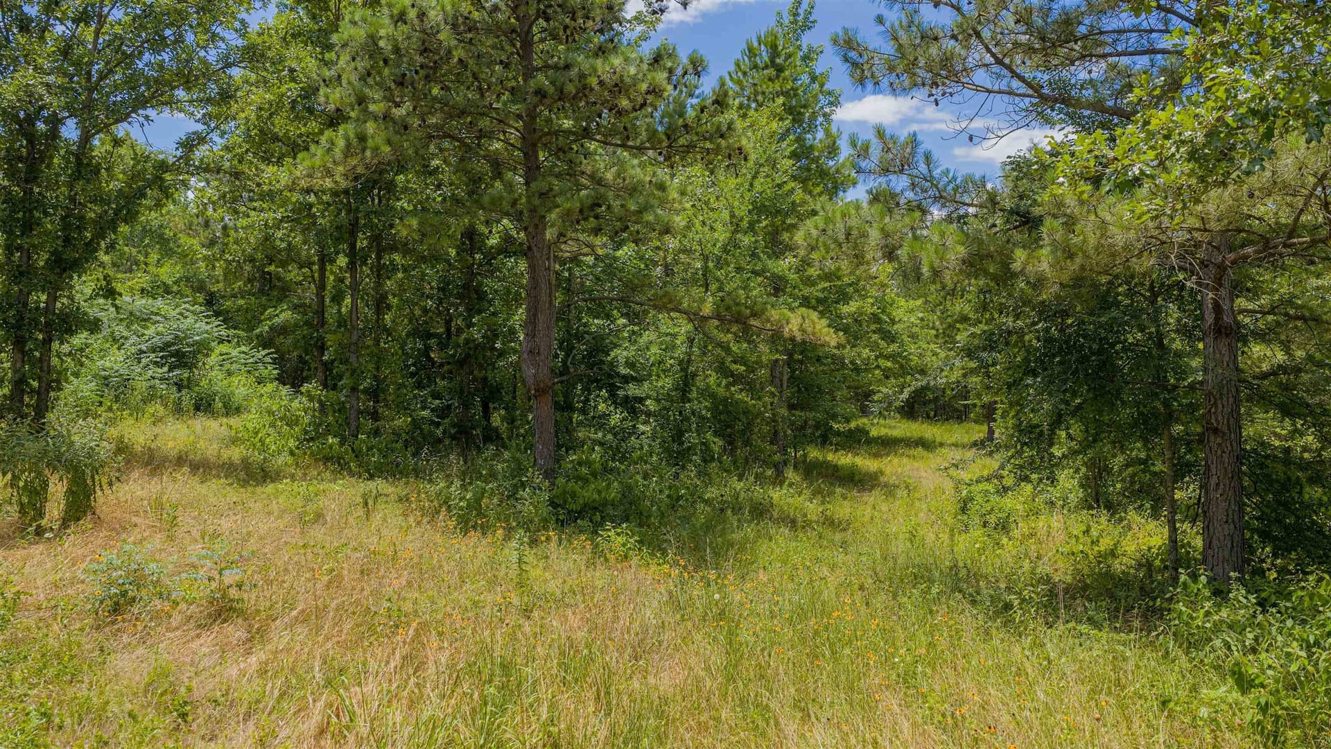 2.02 acres in Texas County - photo 6