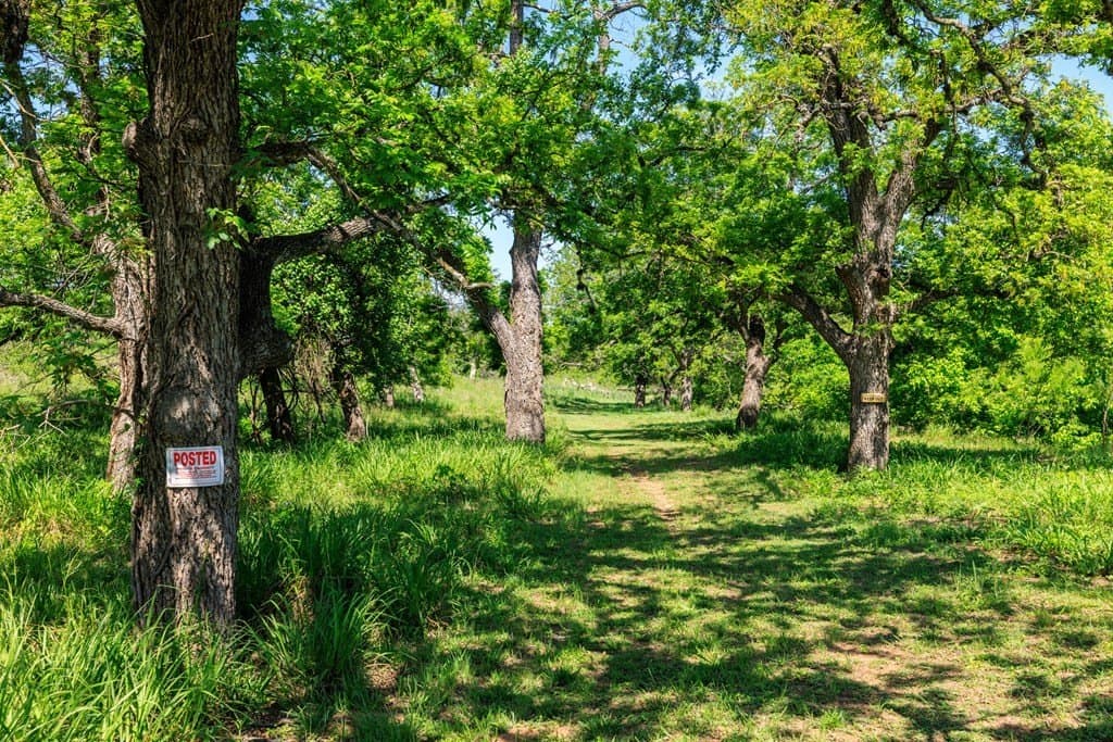 15.76 acres in Gillespie County - photo 43