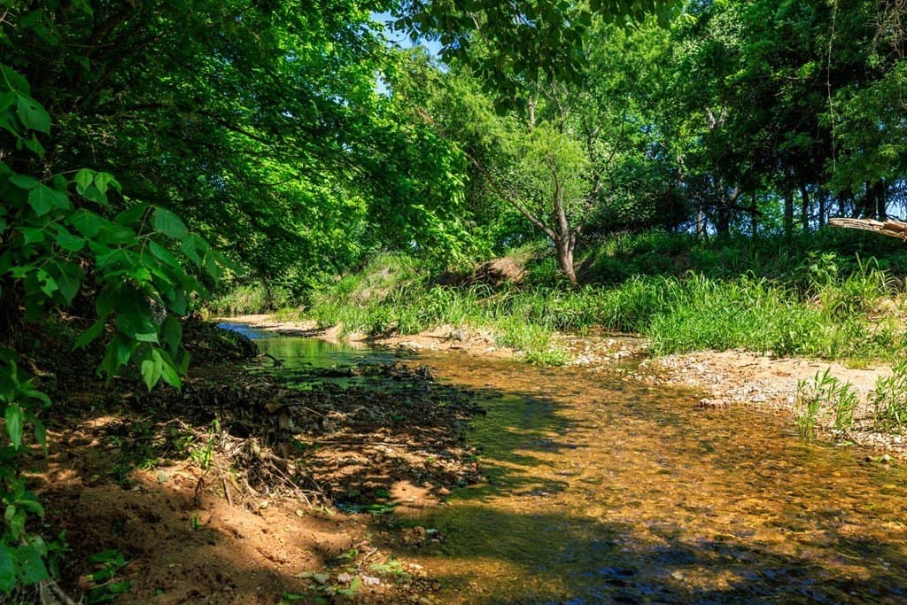 15.76 acres in Gillespie County - photo 42