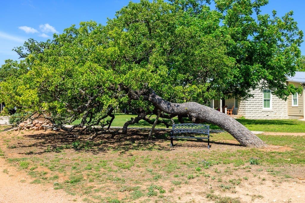 15.76 acres in Gillespie County - photo 44