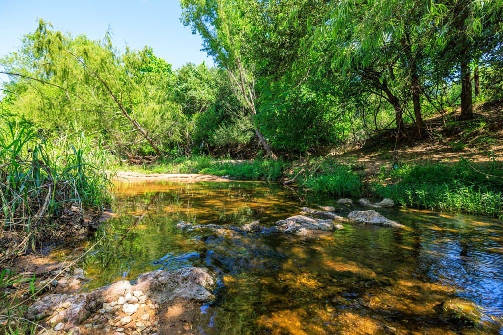 15.76 acres in Gillespie County - photo 3
