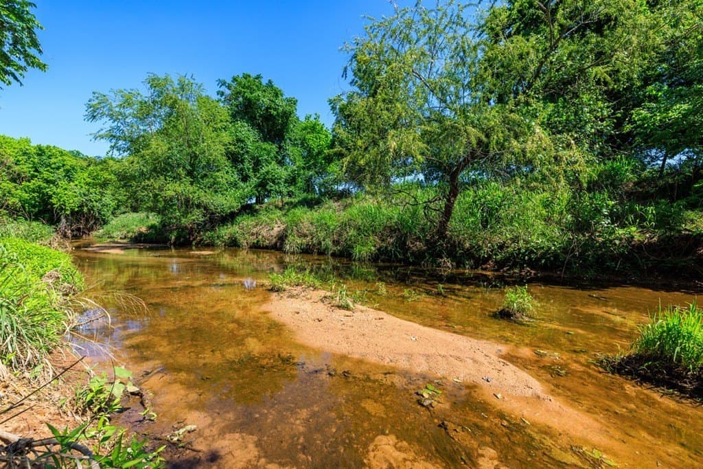 15.76 acres in Gillespie County - photo 41