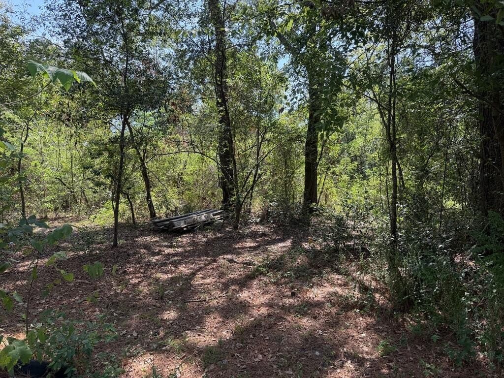 0.36 acres in Texas County - photo 3