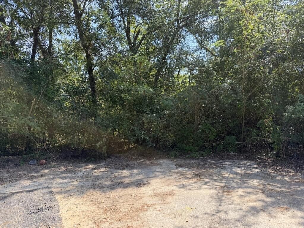 0.36 acres in Texas County - photo 2