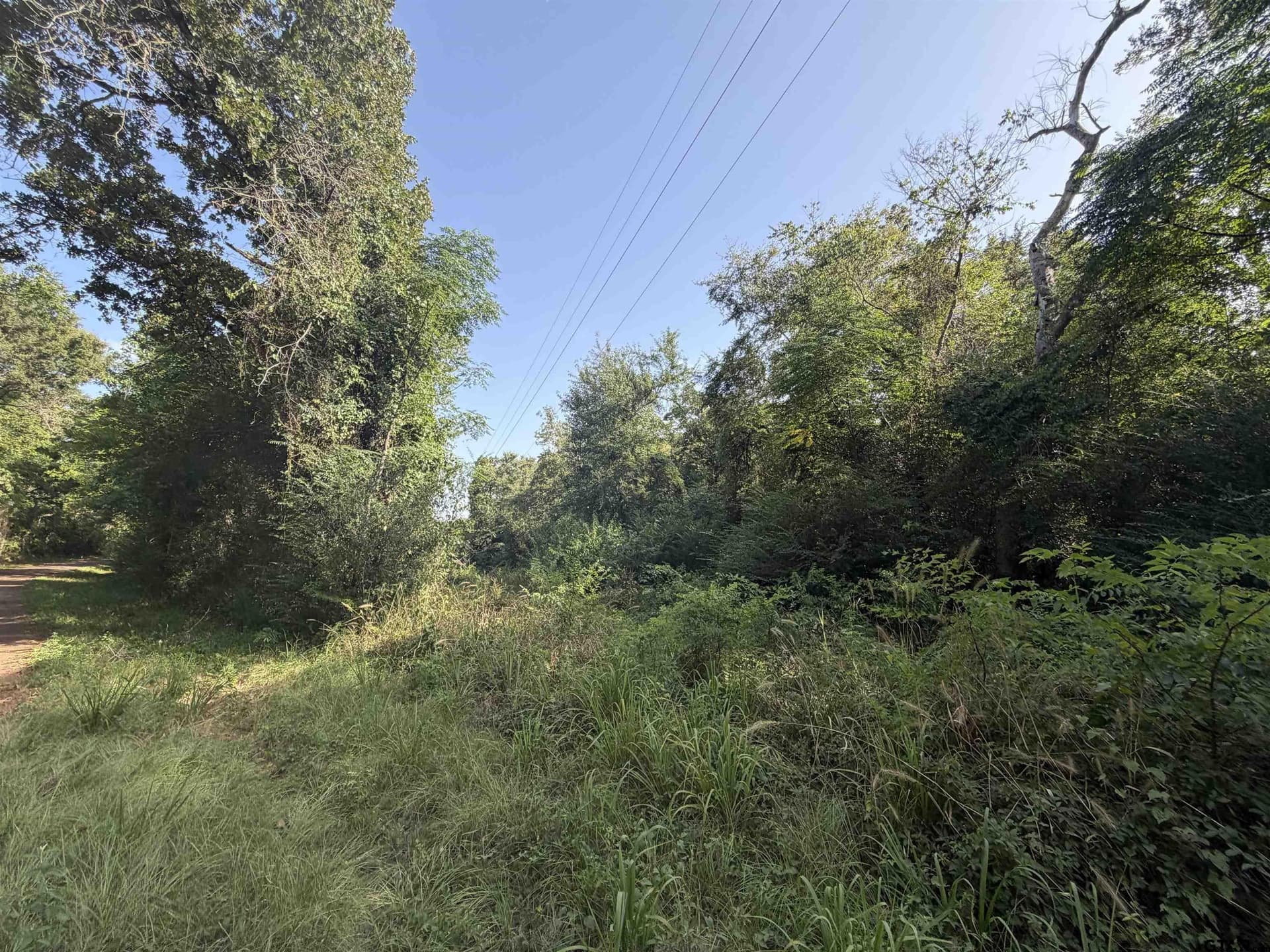 2.69 acres in Cherokee County - photo 4