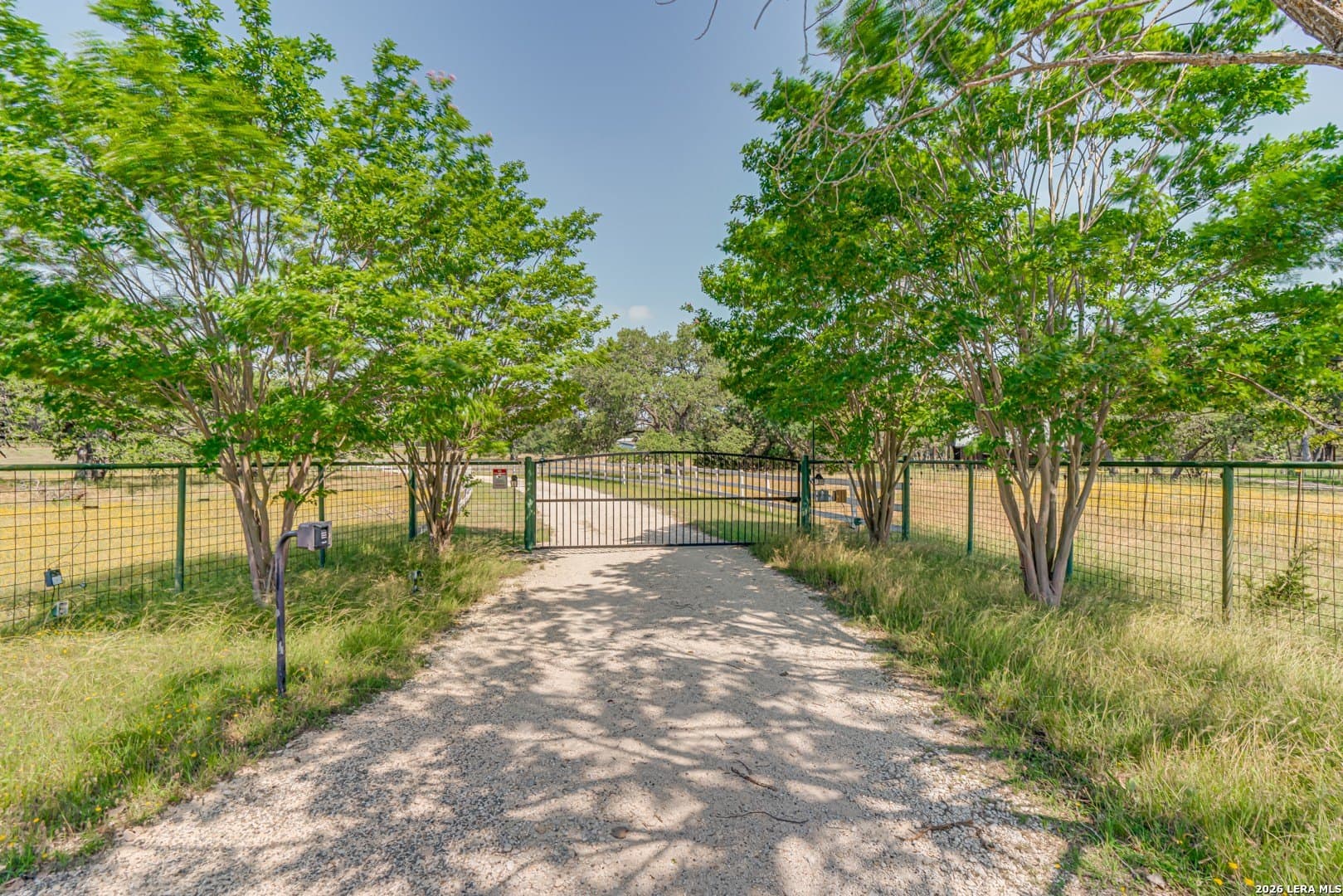 15.2 acres in Blanco County gallery image 3