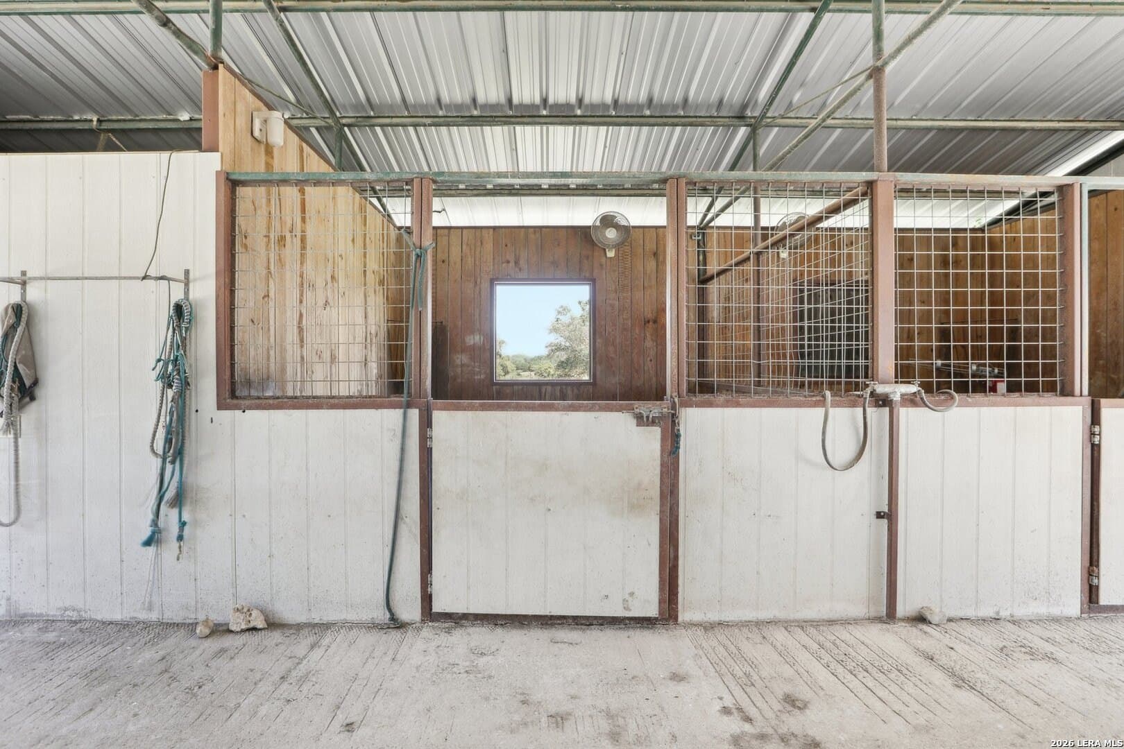 15.2 acres in Blanco County - photo 8