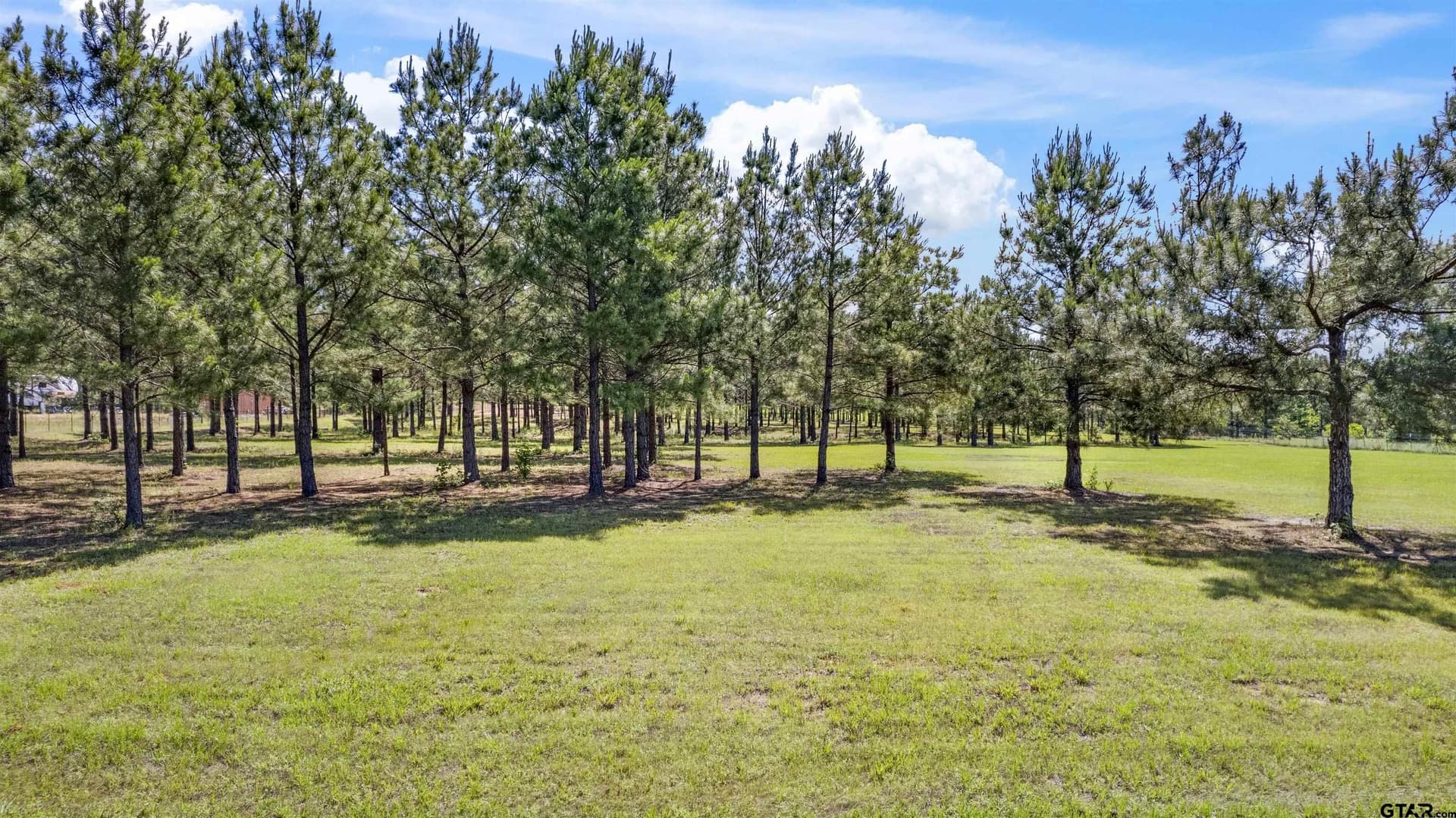 10 acres in Cherokee County