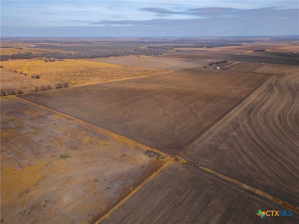 61.3 acres in Williamson County - photo 11