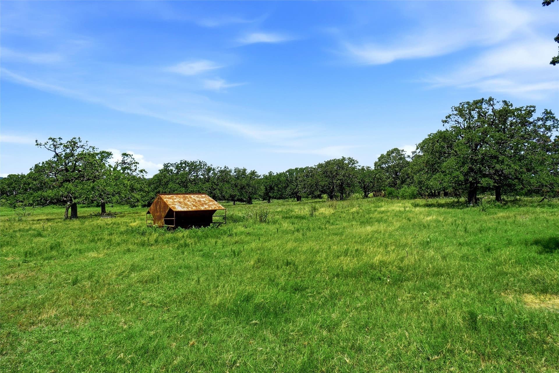 49 acres in Wise County - photo 11