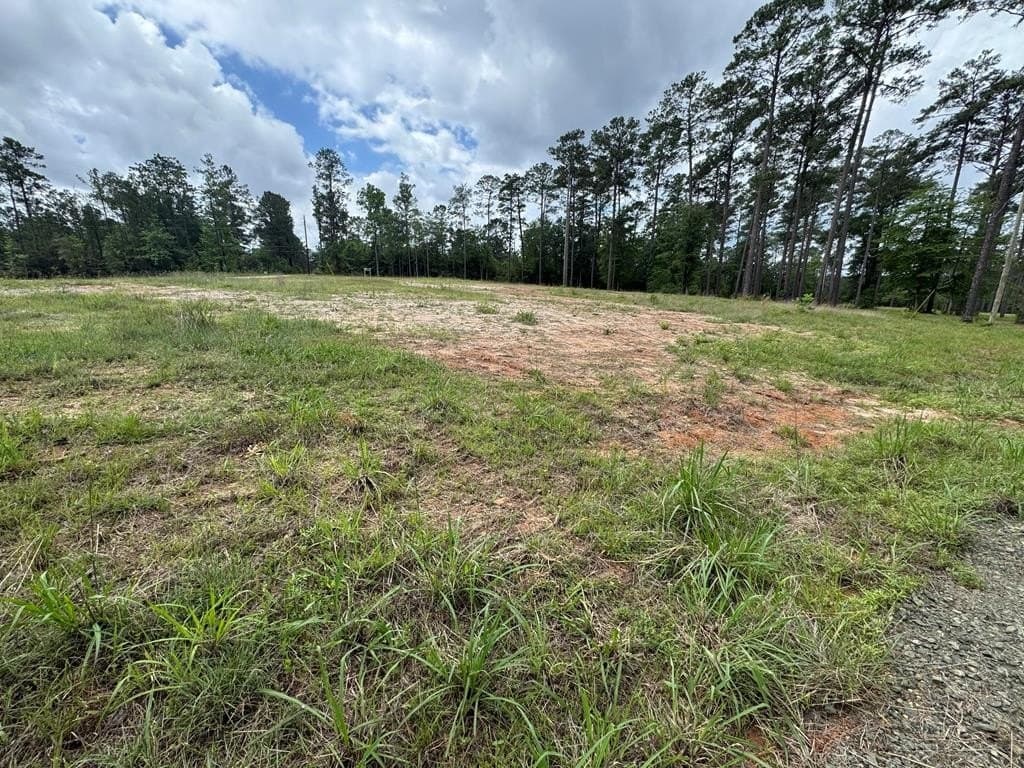 1 acres in Texas County - photo 9
